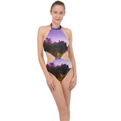 Purple Afternoon Halter Side Cut Swimsuit