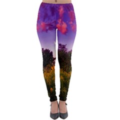 Purple Afternoon Lightweight Velour Leggings