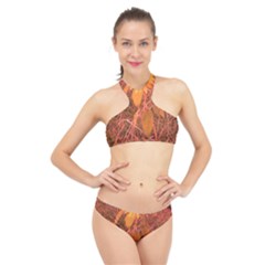 Red Tinted Sunflower High Neck Bikini Set by okhismakingart