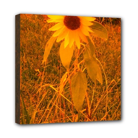 Yellow Sunflower Mini Canvas 8  X 8  (stretched) by okhismakingart