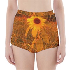 Yellow Sunflower High-waisted Bikini Bottoms by okhismakingart