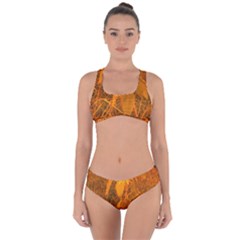 Yellow Sunflower Criss Cross Bikini Set by okhismakingart