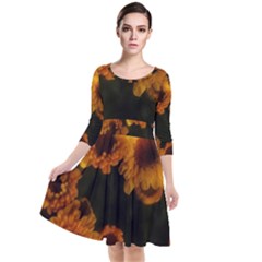 Yellow Flowers Quarter Sleeve Waist Band Dress