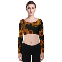 Yellow Flowers Velvet Long Sleeve Crop Top