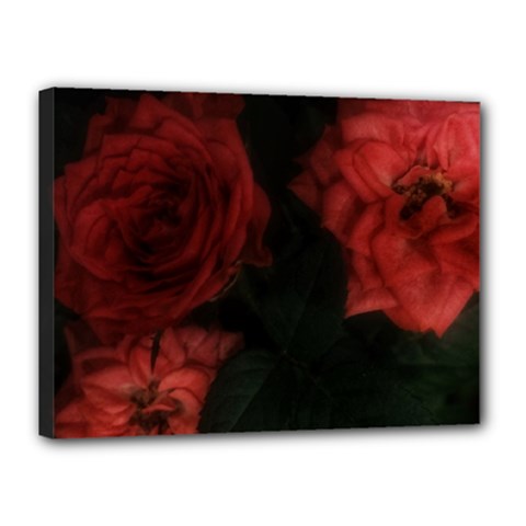 Three Pink Flowers Canvas 16  X 12  (stretched) by okhismakingart