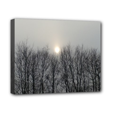 Foggy Forest Canvas 10  X 8  (stretched) by okhismakingart