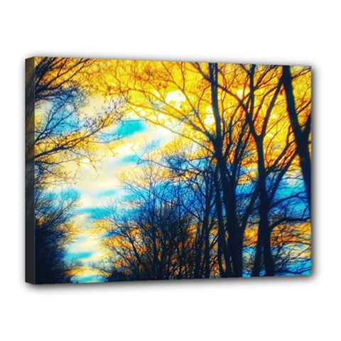 Yellow And Blue Forest Canvas 16  X 12  (stretched) by okhismakingart