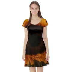 Single Sunflower Short Sleeve Skater Dress by okhismakingart