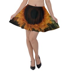 Single Sunflower Velvet Skater Skirt by okhismakingart