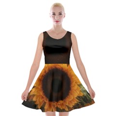 Single Sunflower Velvet Skater Dress by okhismakingart