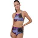 Grainy Green Flower (with Blue Tint) High Waist Tankini Set View1