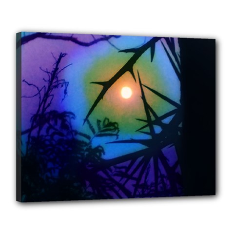 Rainbow Moon And Locust Tree Canvas 20  X 16  (stretched) by okhismakingart