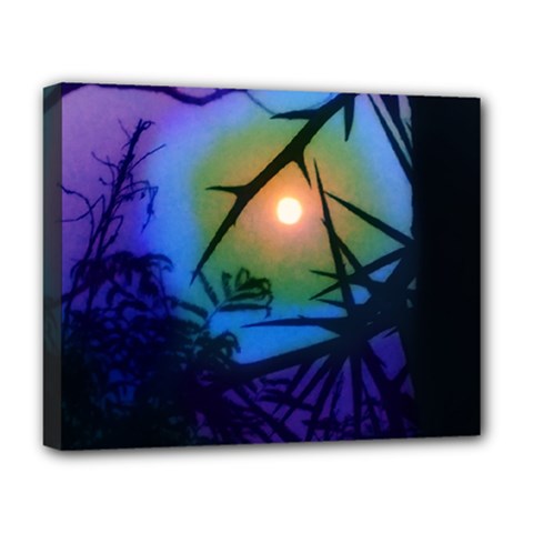 Rainbow Moon And Locust Tree Deluxe Canvas 20  X 16  (stretched) by okhismakingart