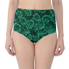 Green Queen Anne s Lace (up Close) Classic High-waist Bikini Bottoms by okhismakingart