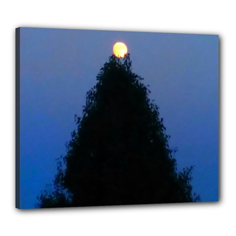 Tree And Moon Canvas 24  X 20  (stretched) by okhismakingart