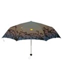 Moon and Thistle Folding Umbrellas View3