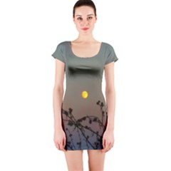 Moon And Thistle Short Sleeve Bodycon Dress by okhismakingart