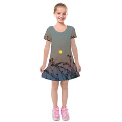 Moon And Thistle Kids  Short Sleeve Velvet Dress by okhismakingart