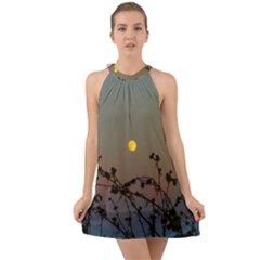 Moon And Thistle Halter Tie Back Chiffon Dress by okhismakingart