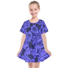 Blue Queen Anne s Lace (up Close) Kids  Smock Dress