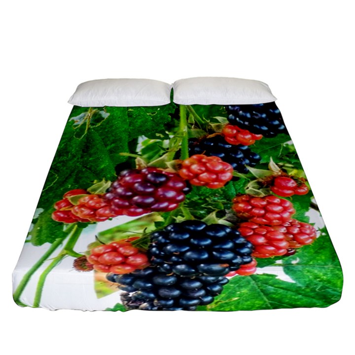 Blackberries Fitted Sheet (California King Size)