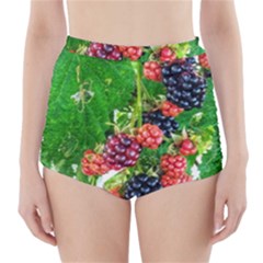 Blackberries High-waisted Bikini Bottoms by okhismakingart