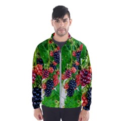 Blackberries Men s Windbreaker by okhismakingart