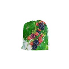 Blackberries Drawstring Pouch (xs) by okhismakingart