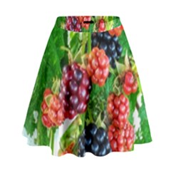 Blackberries High Waist Skirt by okhismakingart