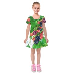 Blackberries Kids  Short Sleeve Velvet Dress by okhismakingart