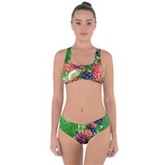 Blackberries Criss Cross Bikini Set by okhismakingart