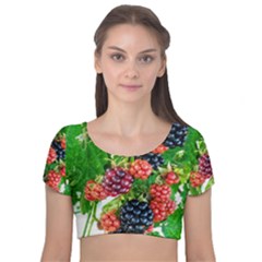 Blackberries Velvet Short Sleeve Crop Top  by okhismakingart