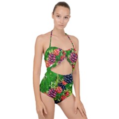 Blackberries Scallop Top Cut Out Swimsuit by okhismakingart