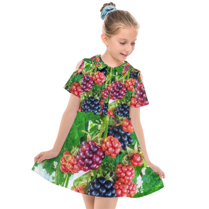 Blackberries Kids  Short Sleeve Shirt Dress