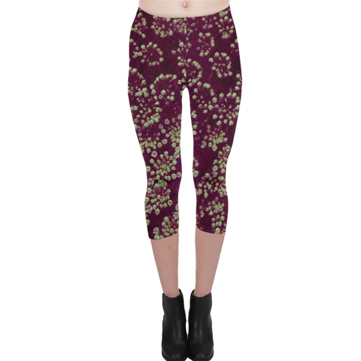 Pink and Green Queen Annes Lace (Up Close) Capri Leggings 