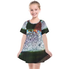 Rainbow Water Droplet Kids  Smock Dress by okhismakingart