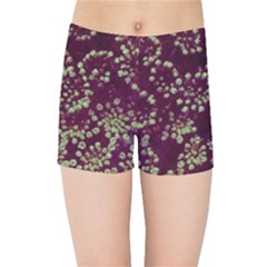 Pink And Green Queen Annes Lace (up Close) Kids  Sports Shorts by okhismakingart