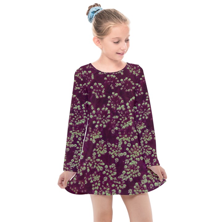 Pink and Green Queen Annes Lace (Up Close) Kids  Long Sleeve Dress