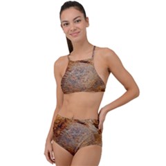 Shell Fossil Ii High Waist Tankini Set by okhismakingart