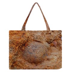 Shell Fossil Ii Zipper Medium Tote Bag by okhismakingart