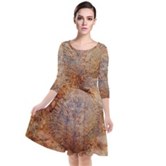 Shell Fossil Ii Quarter Sleeve Waist Band Dress