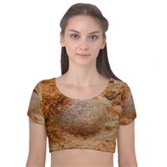 Shell Fossil Ii Velvet Short Sleeve Crop Top  by okhismakingart