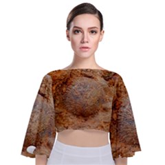 Shell Fossil Ii Tie Back Butterfly Sleeve Chiffon Top