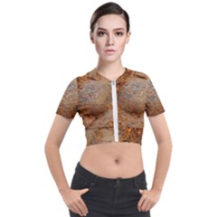 Shell Fossil Ii Short Sleeve Cropped Jacket by okhismakingart