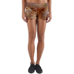 Shell Fossil Ii Yoga Shorts by okhismakingart