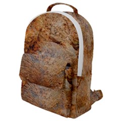 Shell Fossil Ii Flap Pocket Backpack (small) by okhismakingart