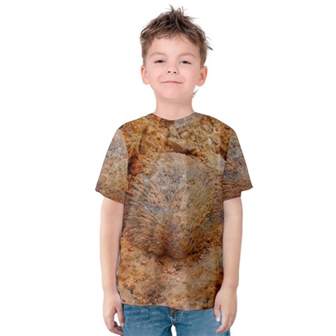 Shell Fossil Ii Kids  Cotton Tee by okhismakingart