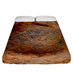 Shell Fossil Ii Fitted Sheet (king Size) by okhismakingart