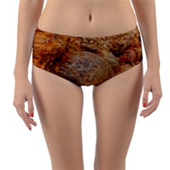 Shell Fossil Ii Reversible Mid-waist Bikini Bottoms by okhismakingart