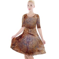 Shell Fossil Ii Quarter Sleeve A-line Dress by okhismakingart